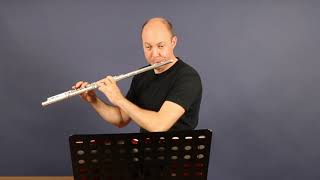 Miyazawa MX1 & MX2 Mozart Flute Quartet