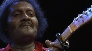 Watch Albert Collins The Things That I Used To Do video