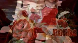 Watch Michel Sardou Sature video