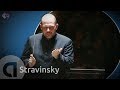 Stravinsky: Le sacre du printemps / The Rite of Spring - Jaap van Zweden - Full concert in HD