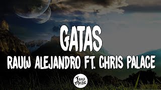 GATAS - Rauw Alejandro Ft. Chris Palace (Letra/Lyrics)