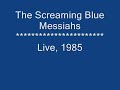 Screaming Blue Messiahs Live