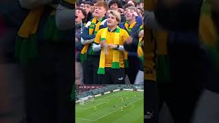 5VztlvrkQ9o Video Image