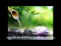 Làm thế nào để có được sự bình an - Hỏi đáp - HT. Viên Minh giảng