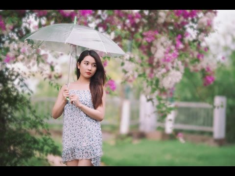 Hướng Dẫn Làm Mờ Hậu Cảnh Bằng Plug-ins Bokeh 2.0 - Nhatphotoshop