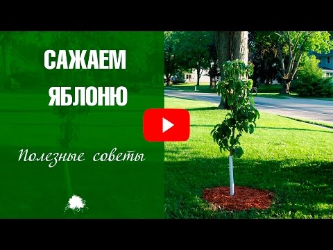 Дизайн бикини - тренд сезона. Стрижки зоны бикини Журнал Делаем красивый дом и мебель для кукол Барби - Ярмарка