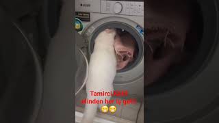 Tamirci Kedi̇ Iş Başında Lütfen Destek Için Beğenelim