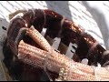 FAN STOPPED WORKING? Fix it!