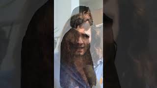 Neil Young Charles Manson Relationship Murder Lyrics, Dennis Wilson David Crosby The Family Music