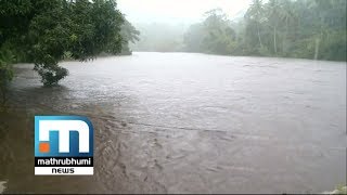 TN Will Be Asked To Take Water From Mullaperiyar: CM| Mathrubhumi News
