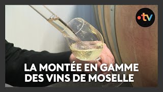 Viticulture Montée En Gamme Des Vins De Moselle
