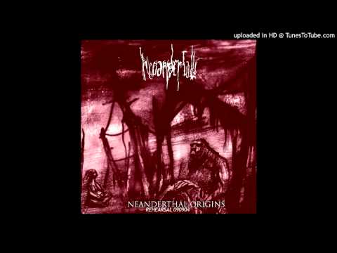 Defleshing The Cadaver Before Burial Video