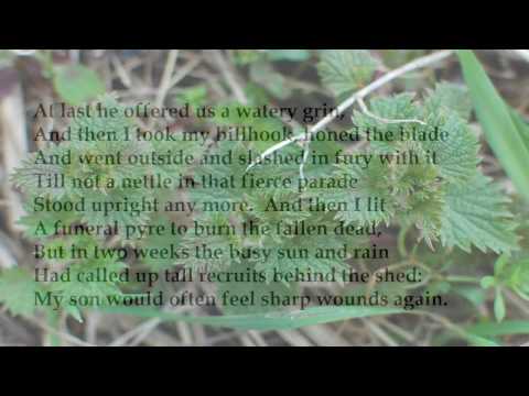 tall nettles by edward thomas essay 17 quotes from edward thomas: 'the simple lack of her is more to me than others' presence' “tall nettles tall nettles cover up, as they have done. tall nettles by edward thomas essay 17 quotes from edward thomas: 'the simple lack of her is more to me than others' presence' “tall nettles tall nettles cover up, as they have done.