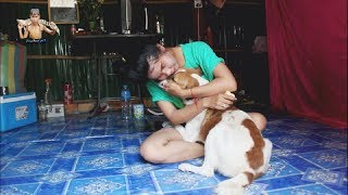 Amazing Smart Girl Playing With Dog In Her Home  How To Play With Smart Dogs Ang
