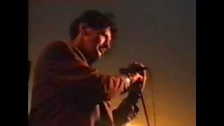 Watch Herman Brood It Aint The Gun video