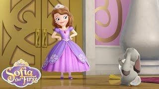 Watch Sofia The First Sofia The First Theme Song video