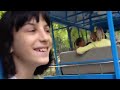 Видео Киевский зоопарк
