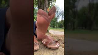 Brown Nylon Socks