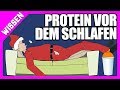 Protein vor dem Schlafen für mehr Muskelmasse und bessere Regeneration?