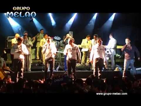GRUPO MELAO SALVADOR grupo melao salvador: