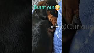 Pweese Subcribe