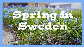 Spring in Sweden