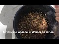 Un instant avec moi : Apache, Tornado et Véloce