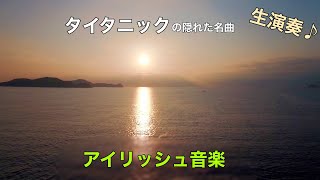 【タイタニックの曲 演奏してみた2】 ケルト音楽 アイリッシュ Kesh ダンスシーン サントラ 癒し バイオリン ティンホイッスル かっこいい 酒場 冒険 有名 Men's Cap メンズキャップ
