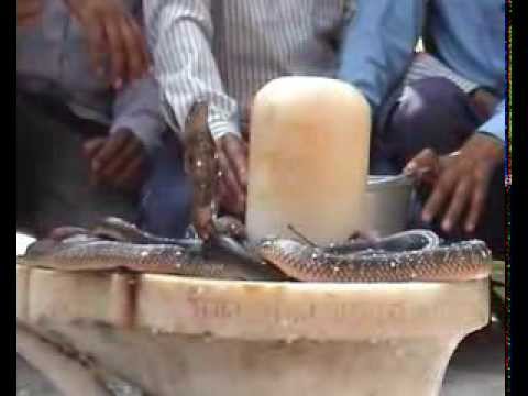 shiv ka chamatkar