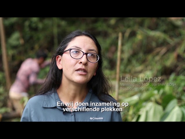 Watch Klimaatbos Ecuador 2019 on YouTube.
