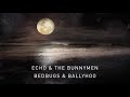 Bedbugs & Ballyhoo (transformed) Video preview