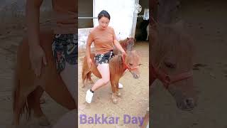 Small Pony Boy Ridding Short Video Mera Dusra Chennal Link Niche De I Hu Support Me