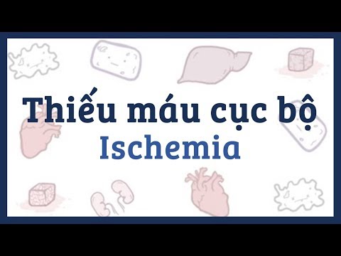 Thiếu máu cục bộ nguyên nhân, triệu chứng, chẩn đoán, điều trị & bệnh lý