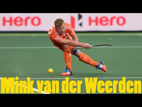 Dutch Dragflicker Mink van der Weerden.