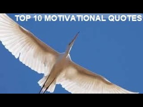 wwwselfimprovementsguidecom Top 100 MOTIVATIONAL quotes and quotations