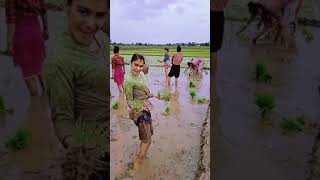 Desi Girl Viral Video Khet Ki Video Dance Khet Me Viral Video Subse Jyada Viral Video Ytshor