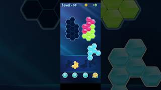 Block Hexa Puzzle