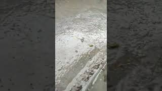 3 February 2022 Rainy Day In Budaun
