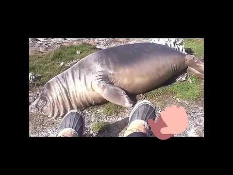 Super comedy part15