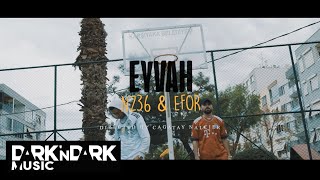N236 & Efor266  - Eyvah
