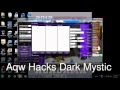 aqw hacks dark mystic rep bot And Trainer
