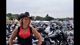 DIXIE GIRL - Séverine Fillion - Walk Through