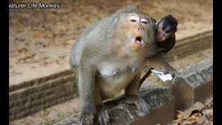 Omg What Happen Wrong Leyla Vomit,Lucas Worry Mom Leyla Much