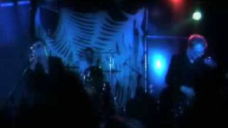 Watch Sex Gang Children Alien Baby video