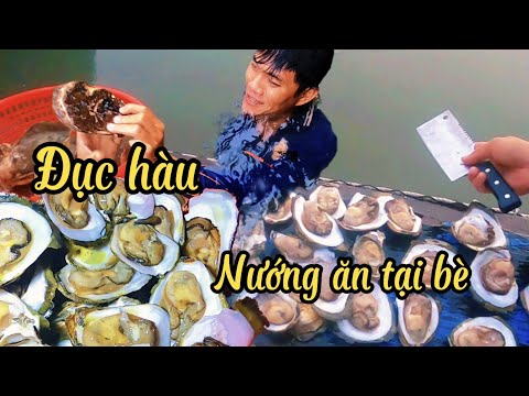 Buổi Chiều Không Có Gì Ăn Phát Hiện Bày Hào Dưới Ghe Ăn Tạm /Đạt Nguyễn Cần Giờ