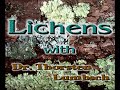 Lichens