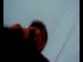 小泉としあき街頭演説 2009・1・12