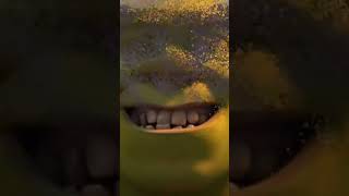 Shrek Gets Thanos Snaped