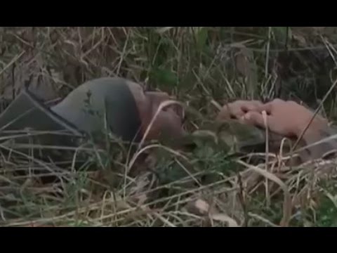 Разное история праздника 8 марта