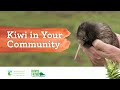 Kiwi (people)